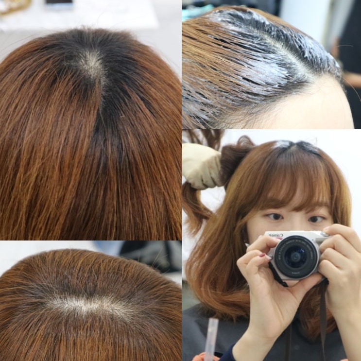  안양 미용실 컴리헤어에서 뿌리염색 받고 왔어요