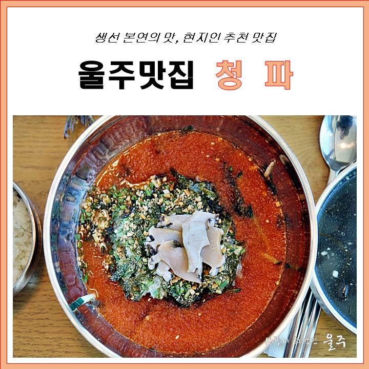 [울주맛집] 서생 청파 - 물회, 회덮밥