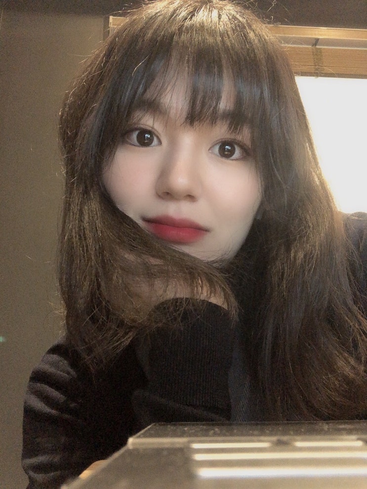  제주살이 기록 |