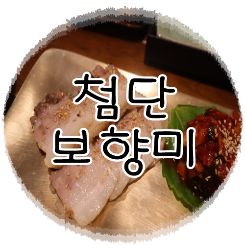  첨단 점심 맛집 보쌈은 보향미!