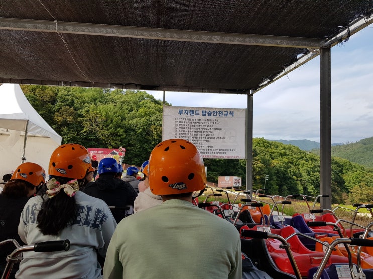  평창 가볼만한곳 바람 가르며 달렸던 루지랜드