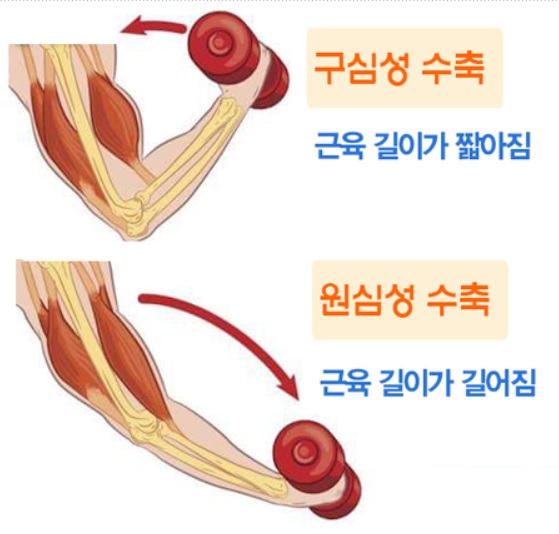  운정필라테스,파주필라테스:)에스파인필라에서 코어운동 배워보아요!