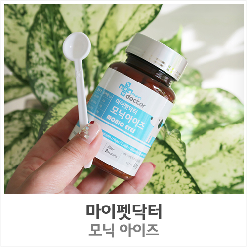  강아지눈물영양제, 모닉아이즈로 반짝이는 눈 관리!
