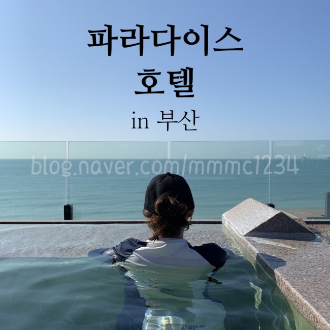  부산 파라다이스 호텔 오션풀 온천 해운대 숙소 추천