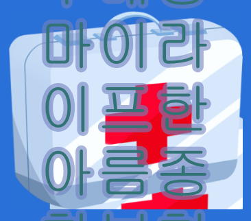  무배당마이라이프한아름종합보험  기억하기