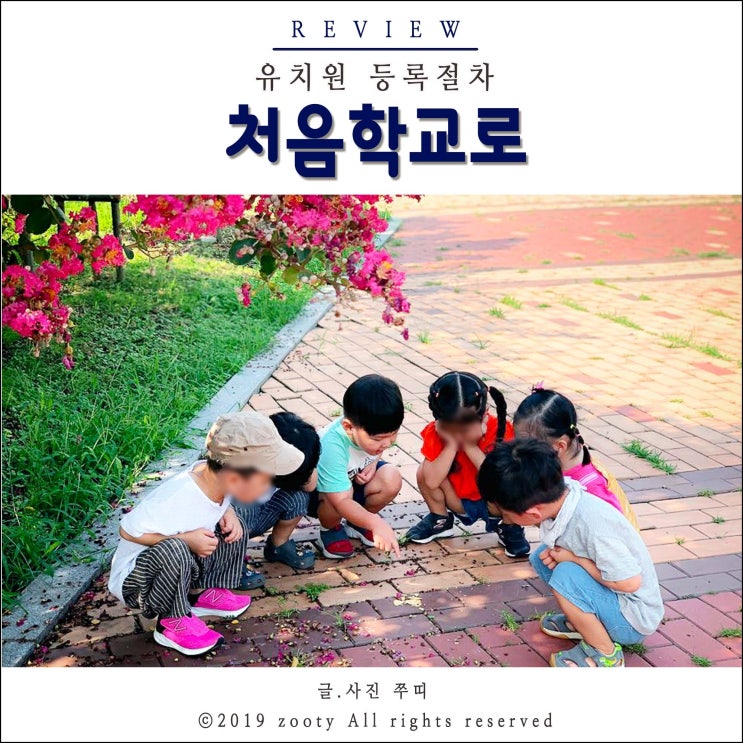  유치원 입소대기 처음학교로 ::: 5세 어린이집vs유치원