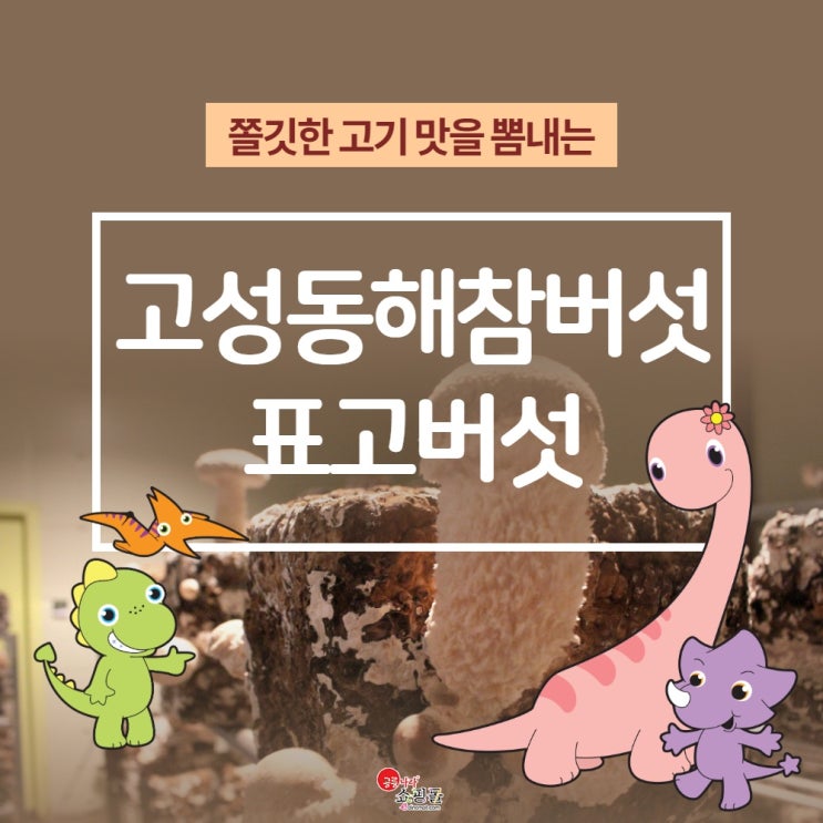  쫄깃한 고기 맛을 뽐내는 고성동해참버섯 표고버섯