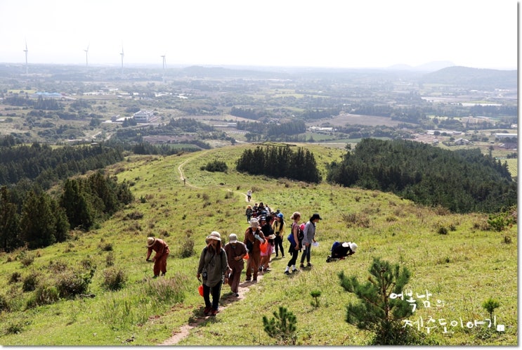  제주도 오름 천국의계단 영주산 [ft.오름 느끼장 투어 무료 접수 안내]