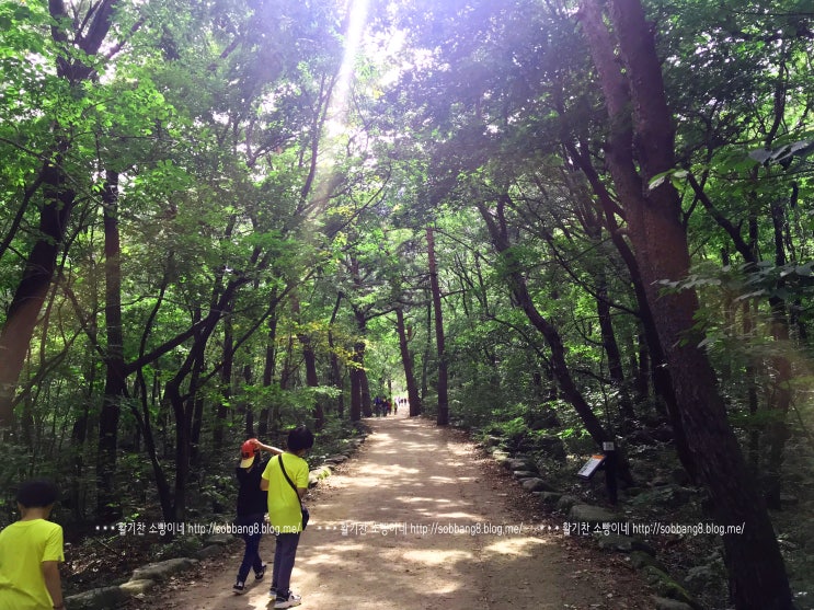  설악산 비선대 아이들과 함께 걷기 쉬운 등산코스 가을 단풍여행 가요