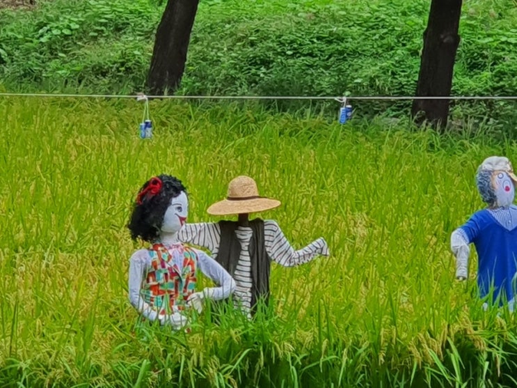  개포재건축 입지 뛰어난 소규모 재건축! 사업속도가 시원시원하네요