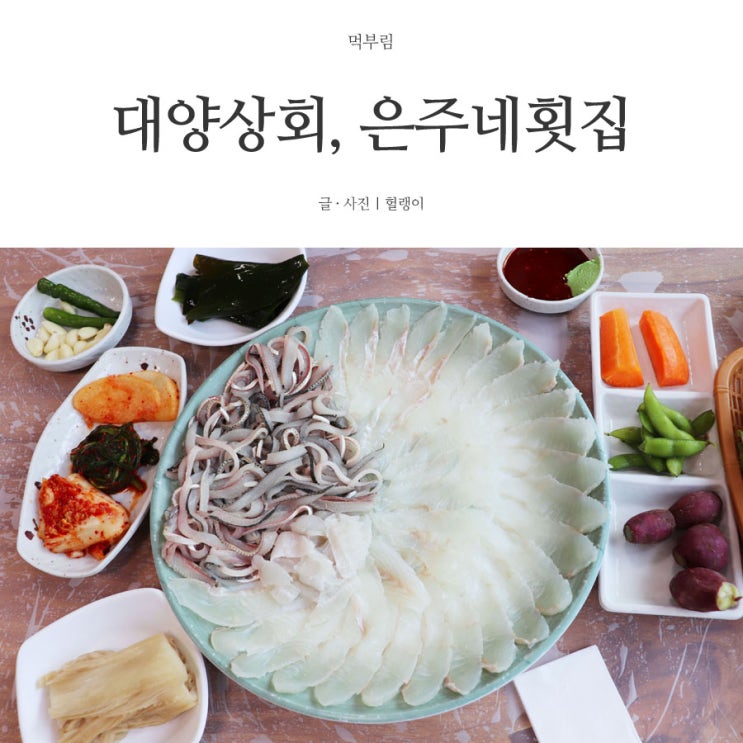  자갈치시장 은주네 횟집(ft. 대양 상회) / 국제시장 / 보수동책방골목