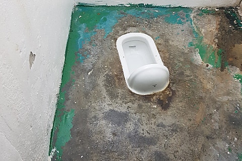 비투피 이미지