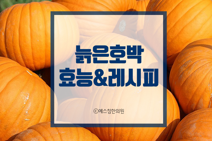  늙은호박 효능 요리 가을 제철음식 호박 칼로리