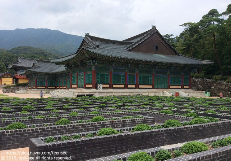  직지사~ 경상북도 김천 가볼만한 곳~ 직지사 산중다원~ 
