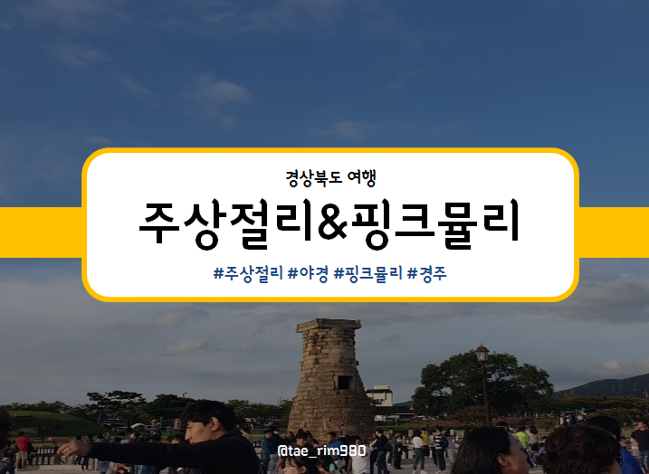  [경남테마여행사] 양남 주상절리& 경주 핑크 뮬리