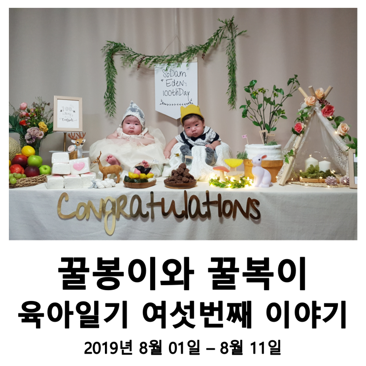 꿀꿀이네 육아일기 06 - 우리 아가들 100일 축하해 꿀꿀이네 육아일기 06 - 우리 아가들 100일 축하해