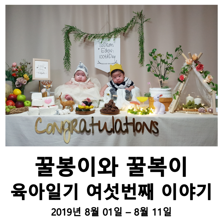 꿀꿀이네 육아일기 06 - 우리 아가들 100일 축하해