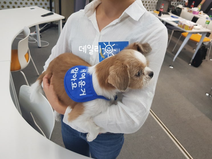  데일리펀딩 데일리 머니언즈 서포터즈 합격 및 발대식 후기