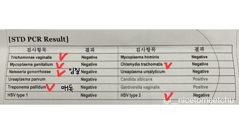 std 12종, 검사받지 않으면 5