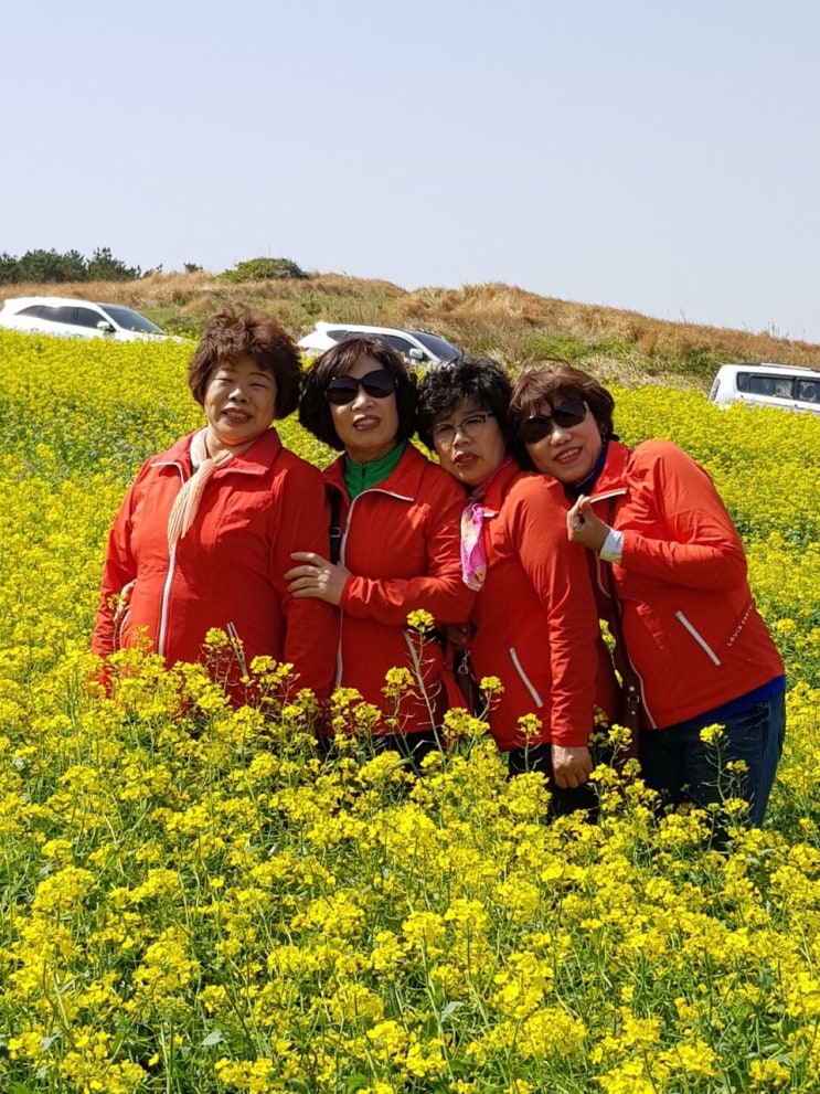  제주 미니버스 렌트 사진속에 즐거움이 묻어나요̈