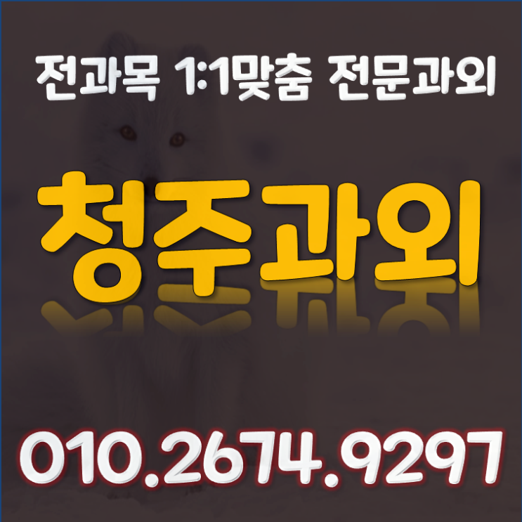  서원구 과외 수업 영어과외 모충동 미평동 수학과외 올인원