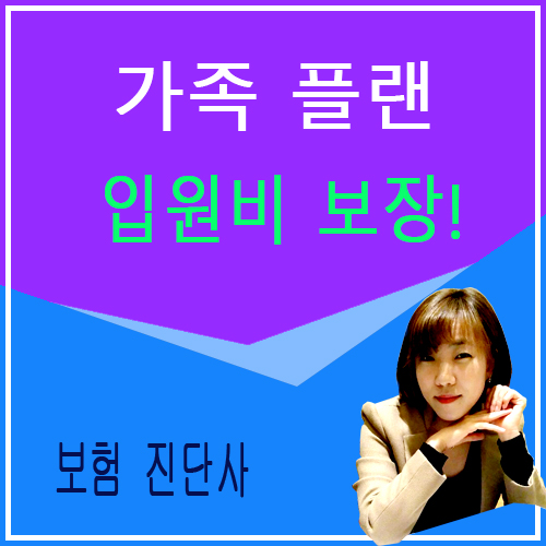  입원일당추천 라이나생명 가족사랑 플랜 입원비 보장 가족보험