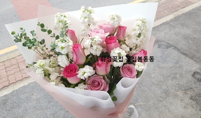  화성꽃집 향기좋은꽃다발 스토크꽃다발 + 꽃집봄동동 / 안녕동꽃집 병점꽃집 와우리꽃집 수원대꽃집 정남꽃집 봉담꽃집