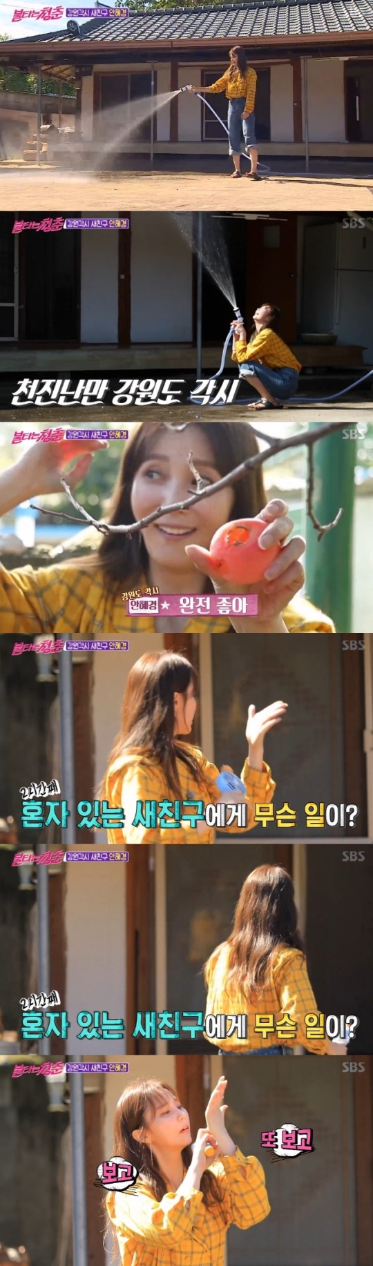  '불타는 청춘' 평창 출신 안혜경 등장 "어릴때 아궁이에 불 때고 살았다"