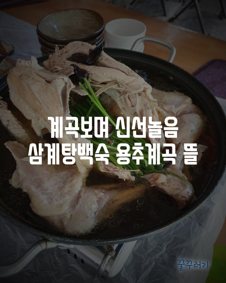  계곡보며 백숙먹는 용추계곡 뜰