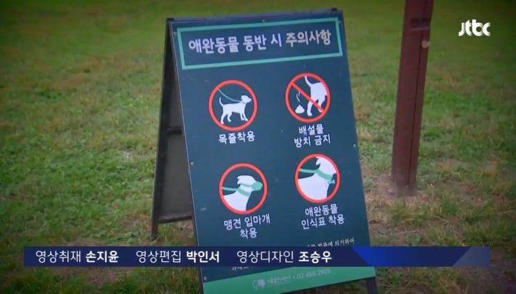  반려견 단속... 강아지 인식표를 해야 하는 이유