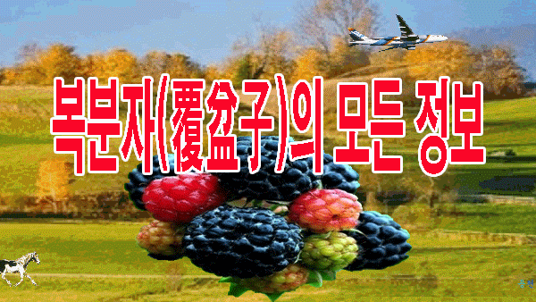  복분자(覆盆子)의 모든 정보