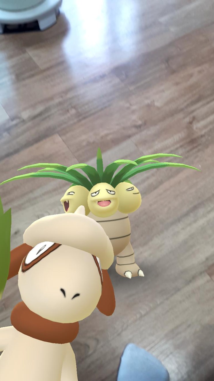  브루노와 함께
