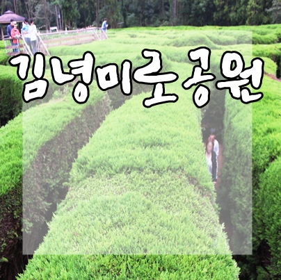  제주도 가볼만한곳, 김녕미로공원 포토존가득한곳