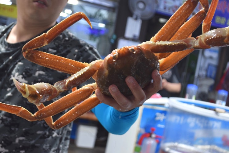 포항 대게 맛집 수율 확실하네!