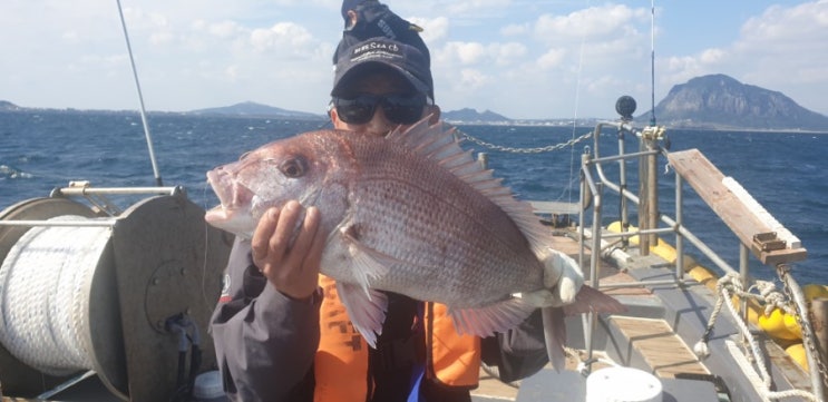  제주 서귀포 반나절 배낚시 참돔 타이라바 진행중 10월8일