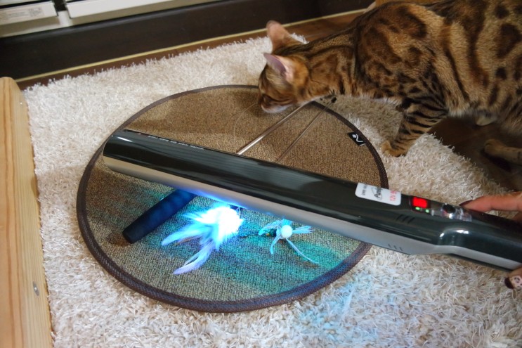 고양이용품 엔퓨텍 퓨어라이트에어ED로 자외선 살균하고 고양이눈병 예방