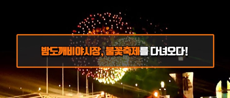  서울여의도나들이 밤도깨비야시장, 서울세계불꽃축제를 다녀오다!