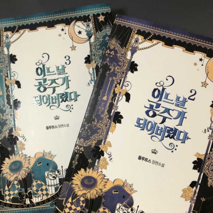  어느날 공주가 되어버렸다/소설추천
