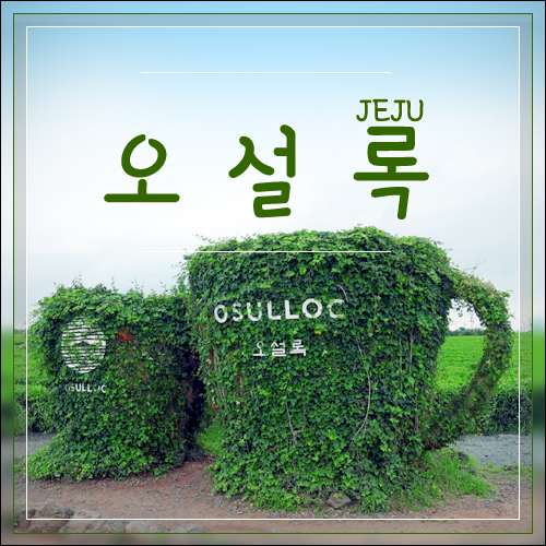  제주도 오설록티뮤지엄 제주도 여행코스