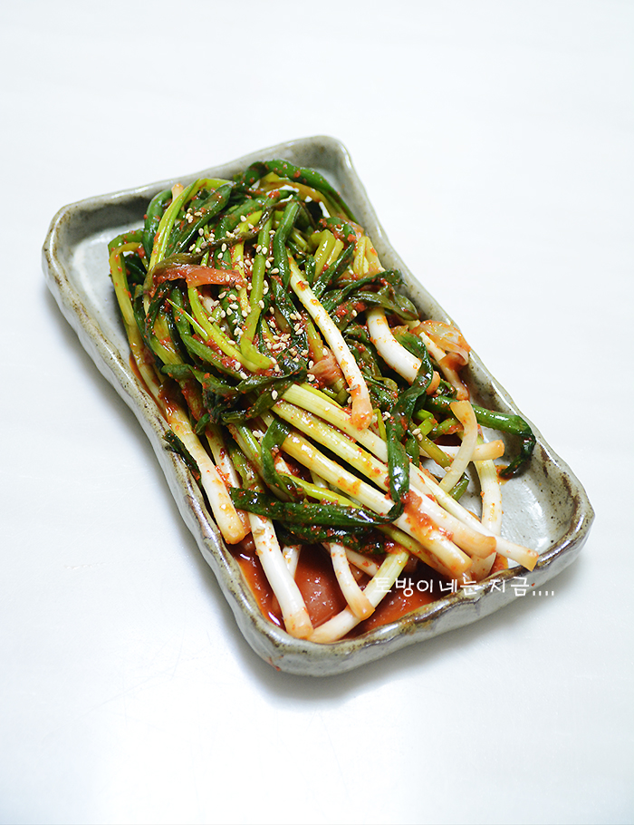  파김치맛있게담그는법 1kg레시피