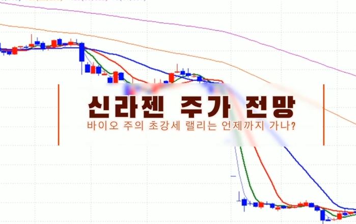  신라젠 주가 분석 및 전망