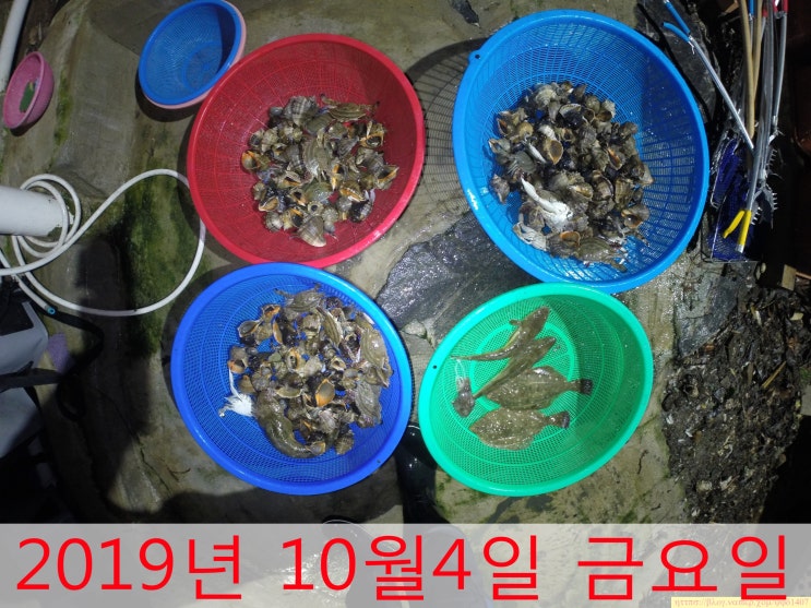  안면도 해루질 - 2019년 10월4일 금요일