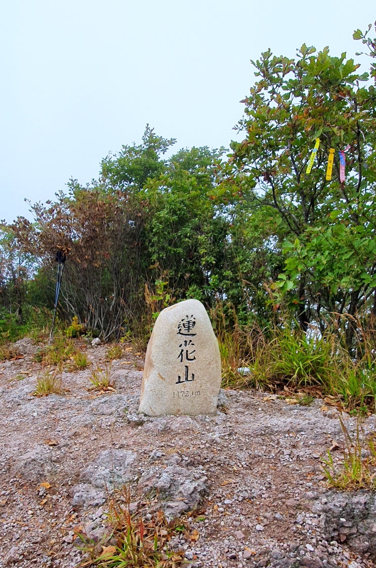  태백의 연화산과 황지