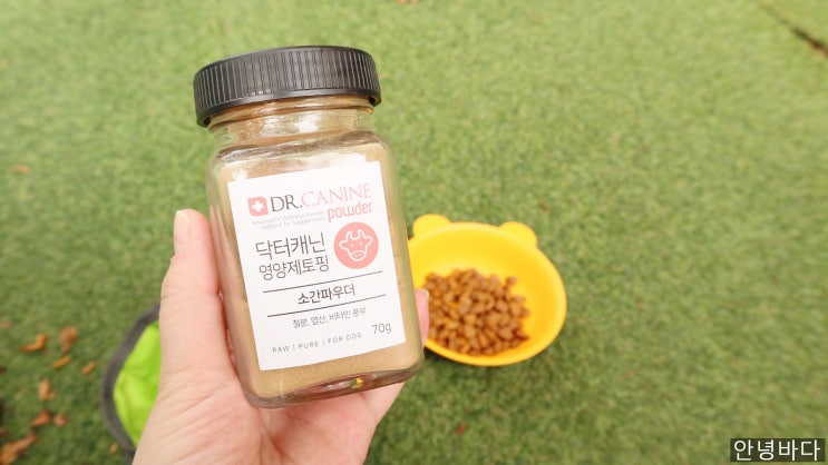  애견치주염영양제/닥터캐닌 로가닉덴탈/강아지치아관리/강아지 영양제/강아지 선물 추천/강아지 이빨/강아지 이빨 영양제/강아지 치주염