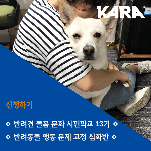  [모집] 반려견 돌봄 교육 신청하세요!