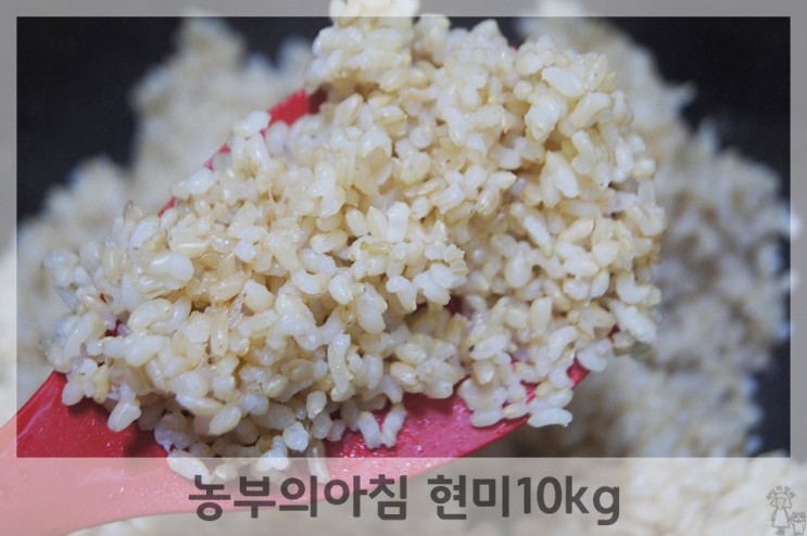 현미밥 다이어트식단 아침농산 농부의아침 현미10kg