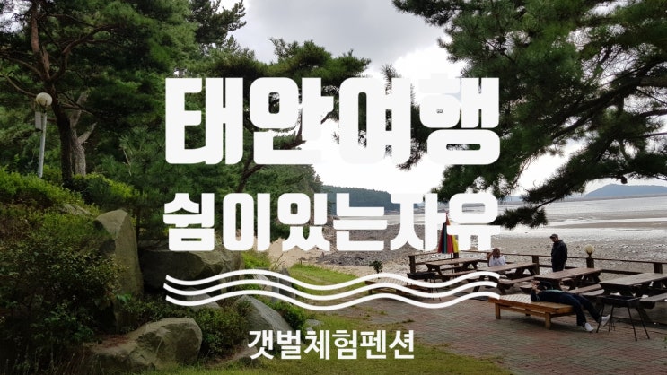  태안 쉼이있는자유 펜션 1박2일 갯벌체험과 바다뷰 숙박