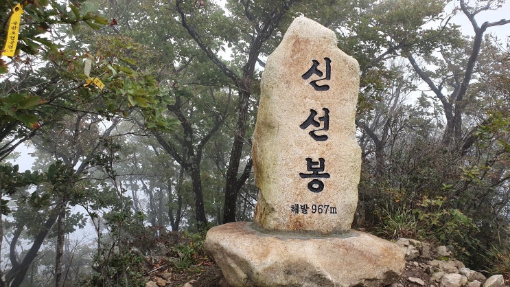 신선봉 산행기(충북괴산), 가깝지고 않고 그렇다고 멀지도 않은 그런곳 괴산의 명산 신선봉을 오르기 위해 연어봉에 오른다.