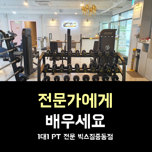 팔용동pt 전문가에게 배우세요