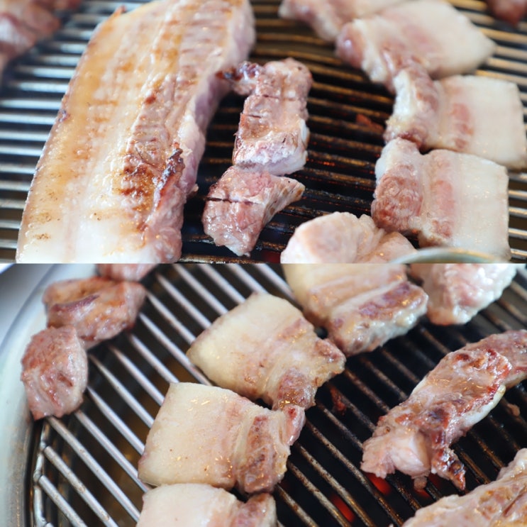  제주 용담해안도로 근처 맛집 진리의 돈고팡!